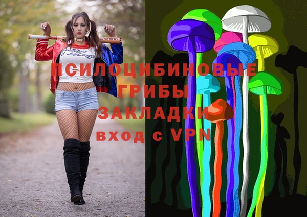 гашик Абаза
