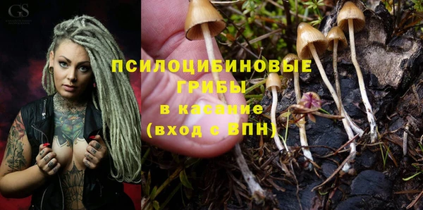 гашик Абаза
