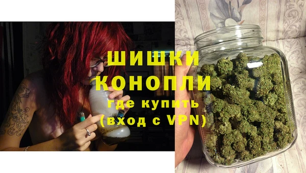 шишки Алексеевка