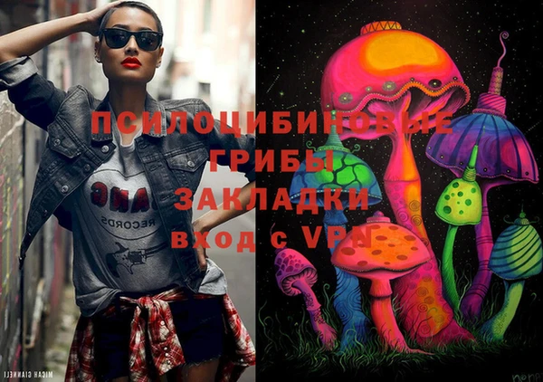 прущий лед Алзамай