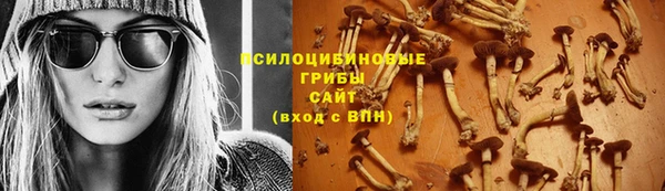 дмт Абинск