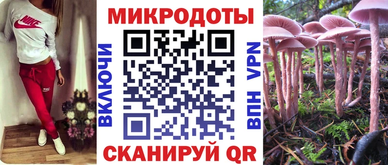 Галлюциногенные грибы мицелий  купить  цена  Ахтырский 
